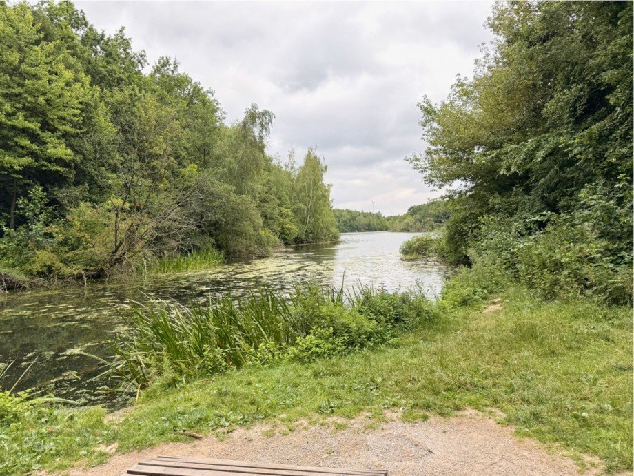 18 in 5 Minuten am See.jpeg Reihenmittelhaus Bedburg